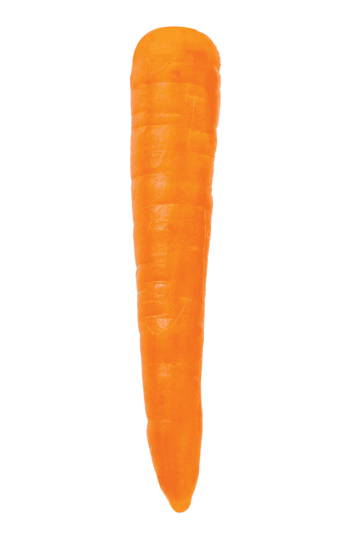 Carottes