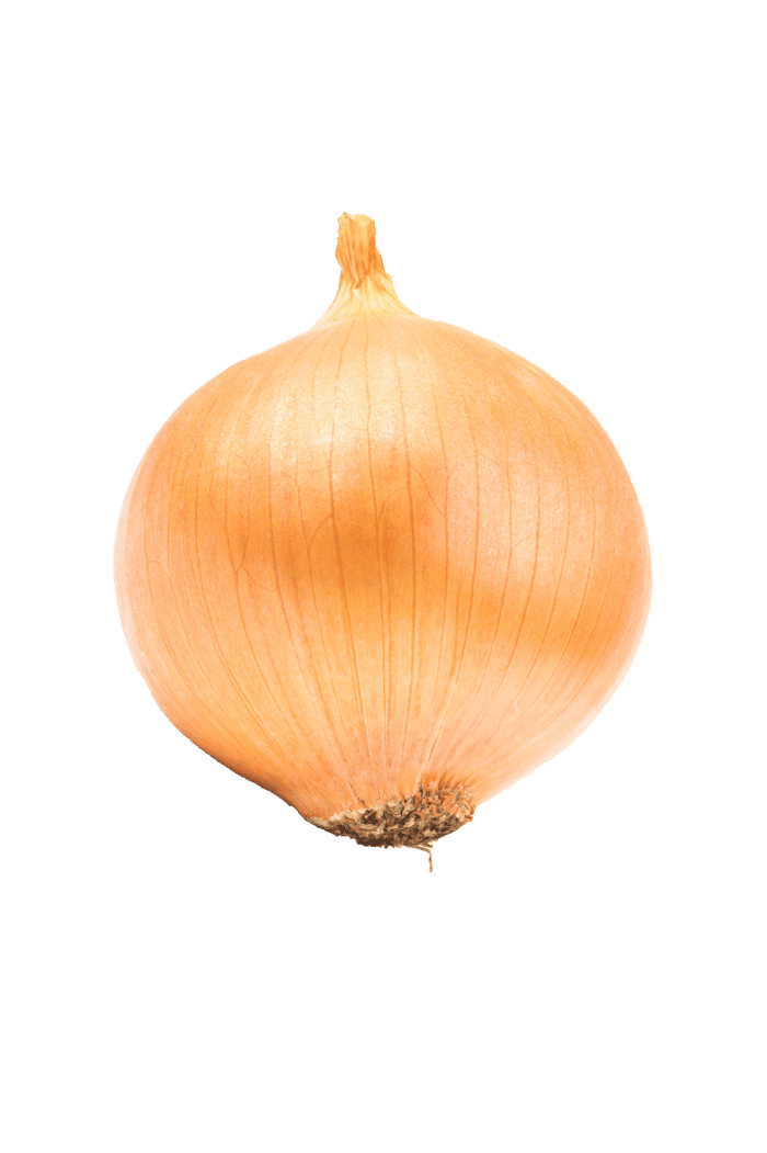 Oignons